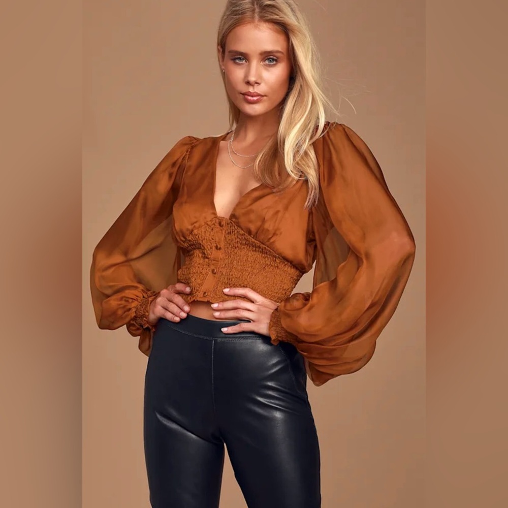 NWT Lulus Purely Magic Brown Smocked Chiffon Crop Top Long Sleeve V-Neck Blouse